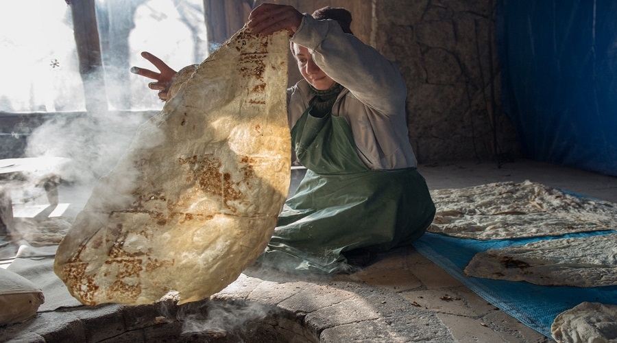 Bread in the Mountains Festival