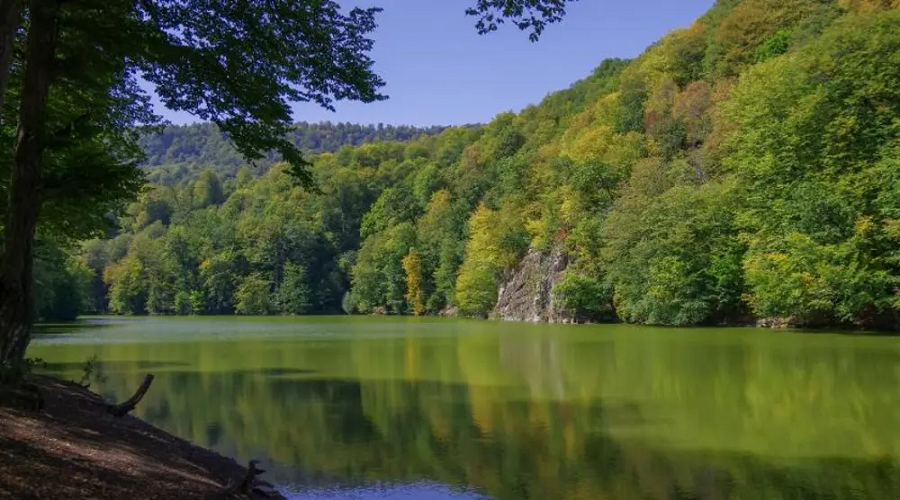 Ani forest hills hotel and resort dilijan